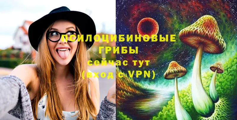 где найти наркотики  Верхняя Салда  Псилоцибиновые грибы Magic Shrooms 